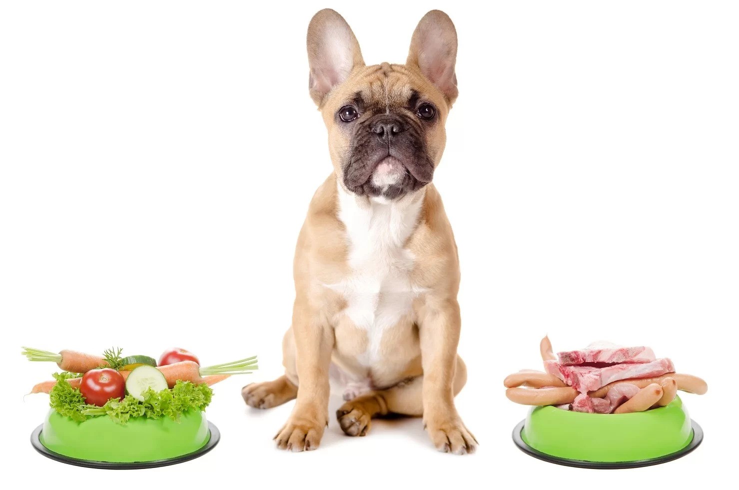 French Bulldog Feeding Chart by Weight Age